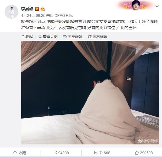 伊甸园大象
