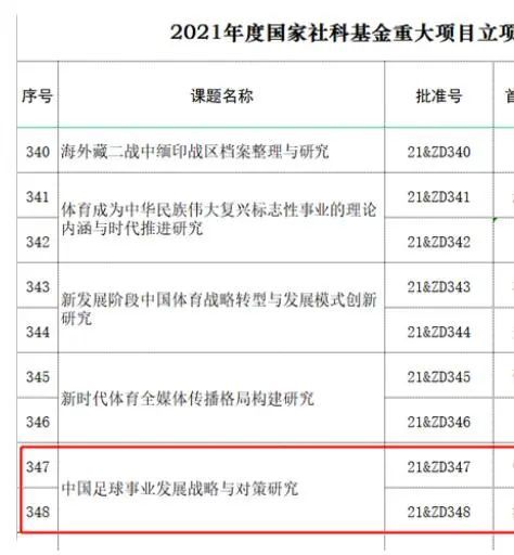 视频区国产