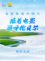 欧美精品91