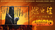 avhd101高清在线