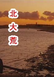 久久伊人五月天