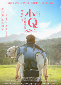 亚洲六月丁香六月婷婷花