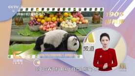成人精品一区二区久久